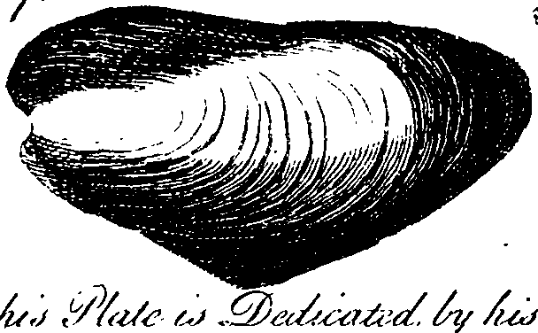 062/062970010001060_0.png