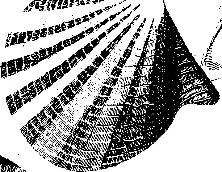 062/062970010001060_2.png
