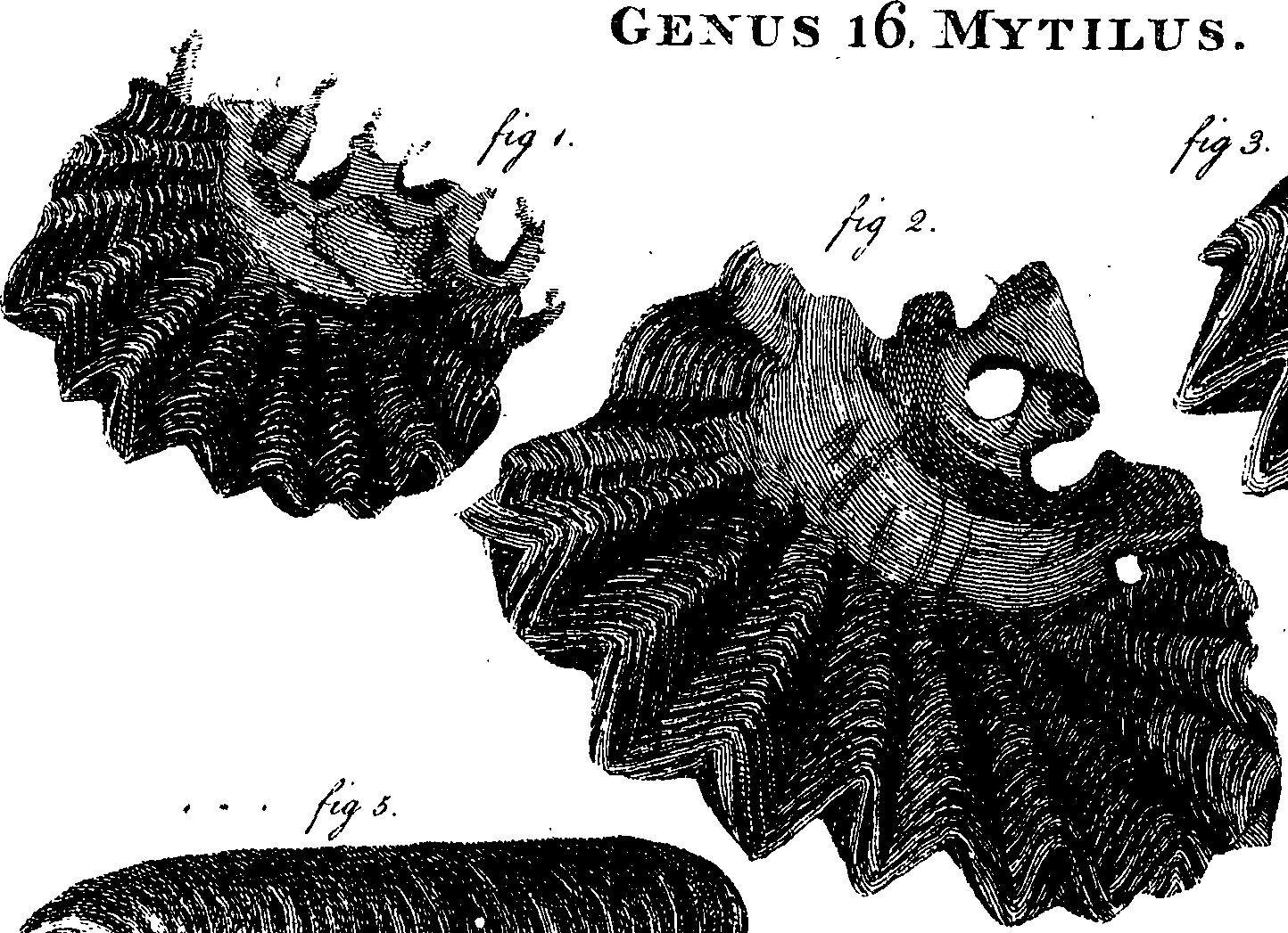 062/062970010001060_3.png