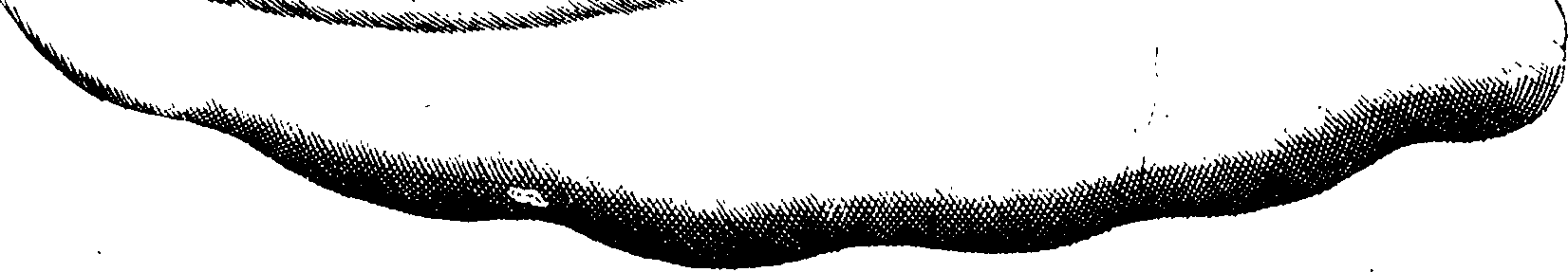 062/062970010001130_0.png