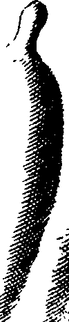 062/062970010001130_4.png