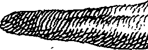 062/062970010001140_0.png