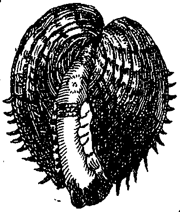 062/062970010001140_1.png