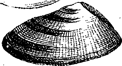 062/062970010001150_1.png