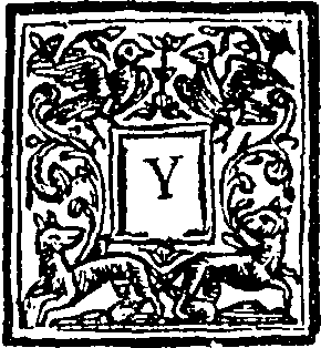 063/063040070000020_0.png