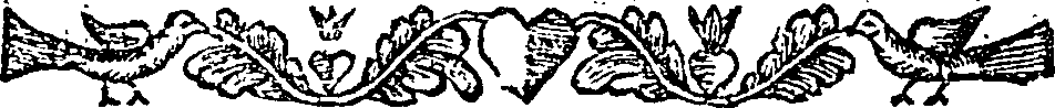 063/063040070000390_0.png