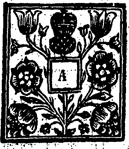 063/063070110000040_0.png