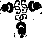 063/063070150000100_0.png