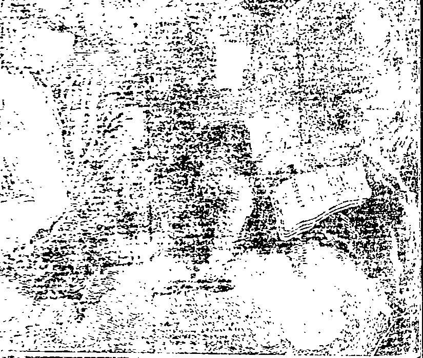 063/063120010201320_0.png