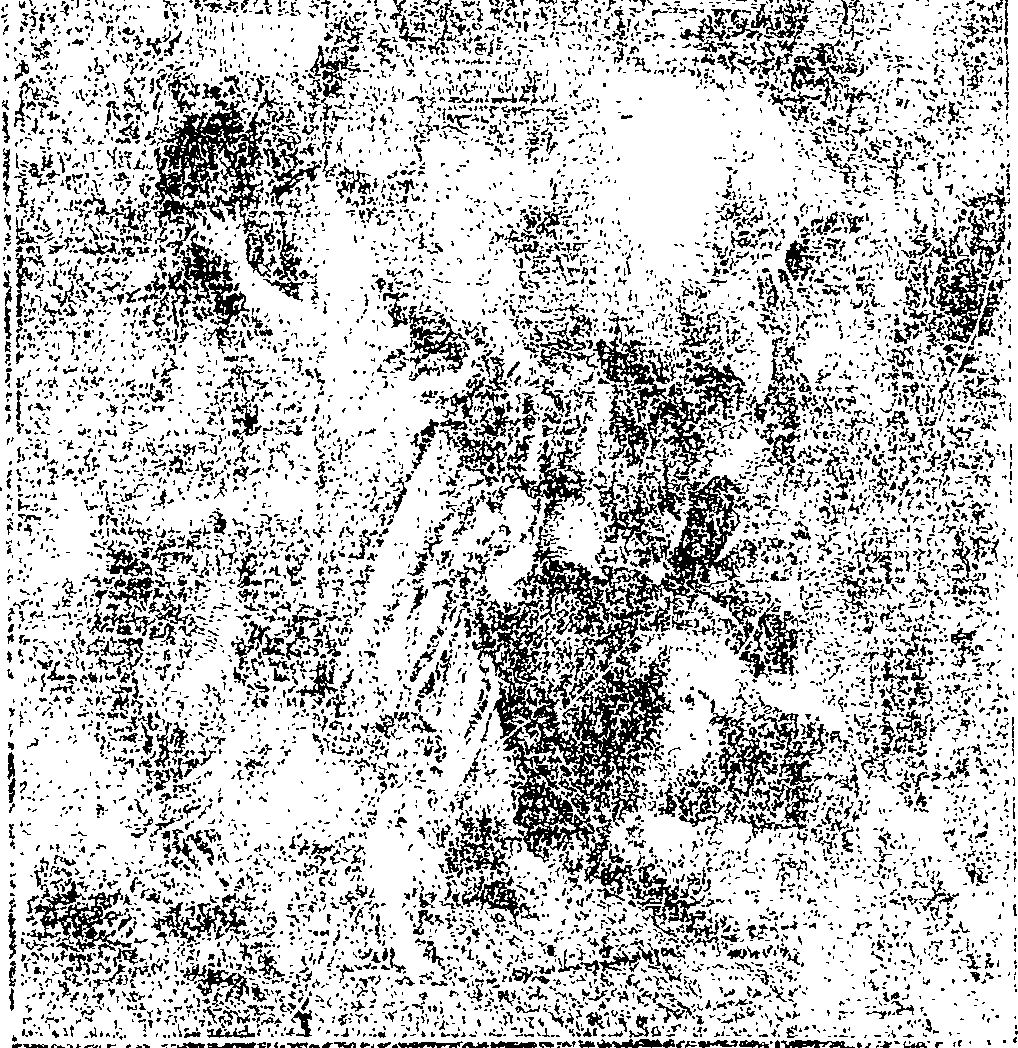 063/063120010601040_0.png