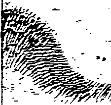 063/063220030001400_0.png