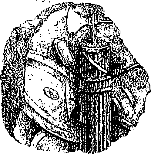 063/063220030001670_1.png