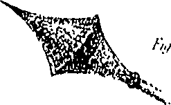 063/063220030001670_2.png