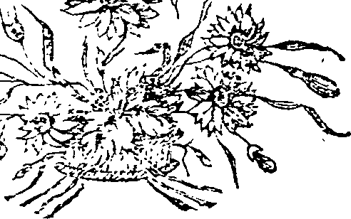 063/063230020100780_0.png