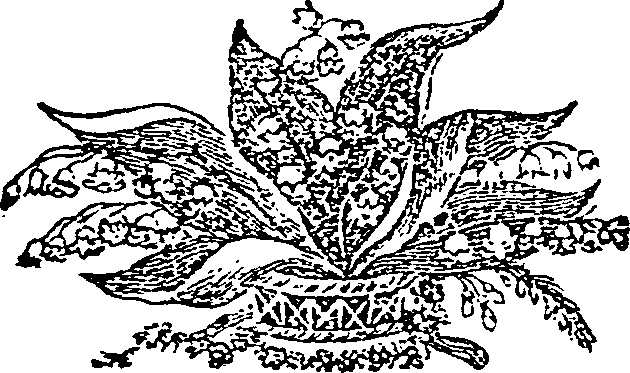 063/063230020202920_0.png