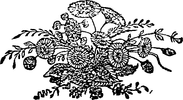 063/063230020300440_0.png