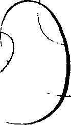 063/063240130000010_1.png