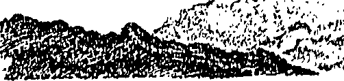 063/063250030100560_1.png