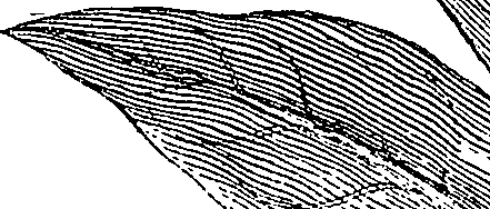 063/063250030201020_0.png