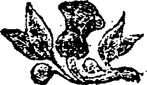 063/063280150003610_0.png
