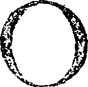 063/063280180000010_1.png
