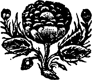 063/063430010002360_0.png