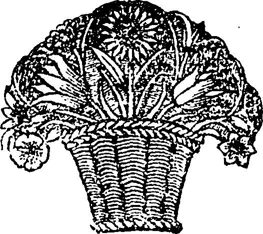 063/063520040006780_0.png