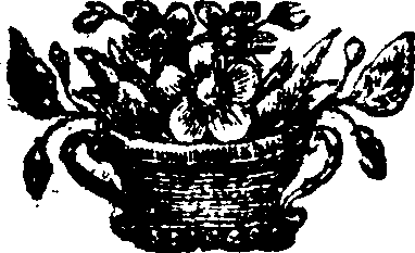 063/063570060000010_0.png