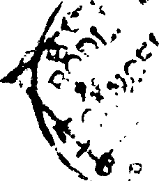 063/063590090000020_0.png