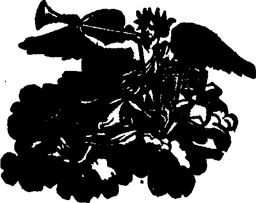 063/063600090002370_0.png