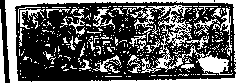 063/063620020000300_0.png