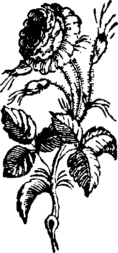 063/063630100000040_0.png