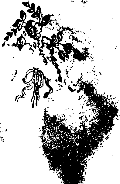 063/063630100000060_0.png