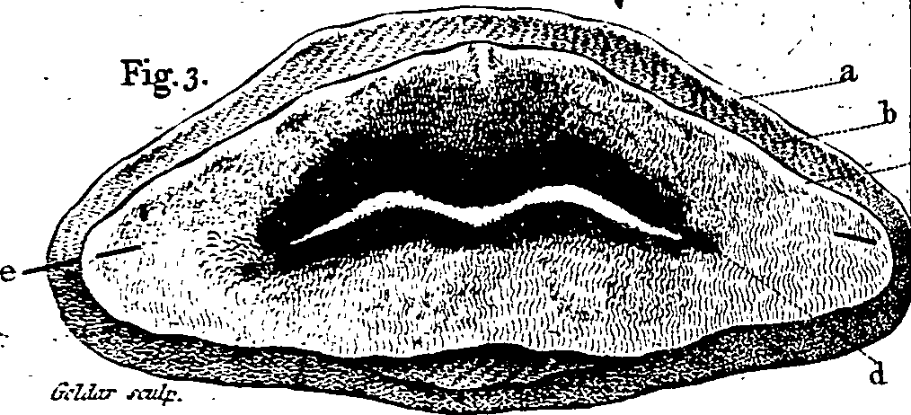 063/063670030000620_0.png