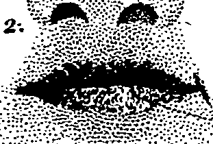 063/063670030000620_1.png