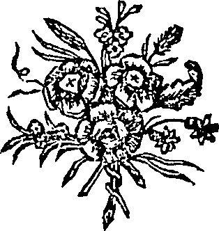 063/063670030001720_0.png