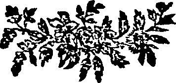063/063670030001780_0.png