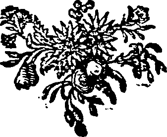 063/063670030002370_0.png