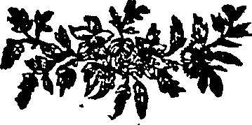 063/063670030002940_0.png