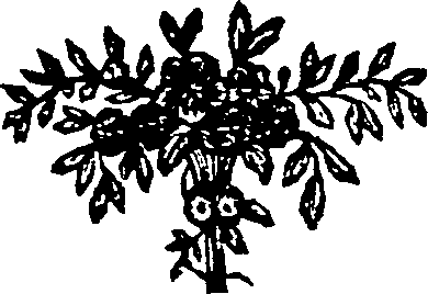 063/063670030003130_0.png