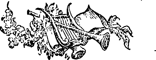 063/063720020000010_0.png