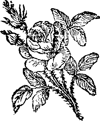 063/063720020000080_0.png
