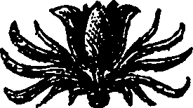 064/064000250000510_0.png