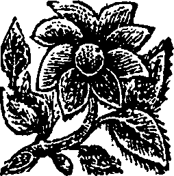 064/064000250000700_0.png