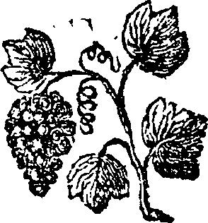 064/064040050000010_0.png