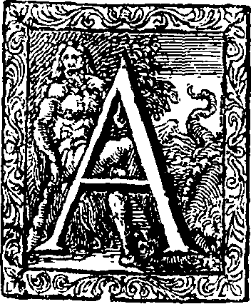 064/064050120000420_0.png