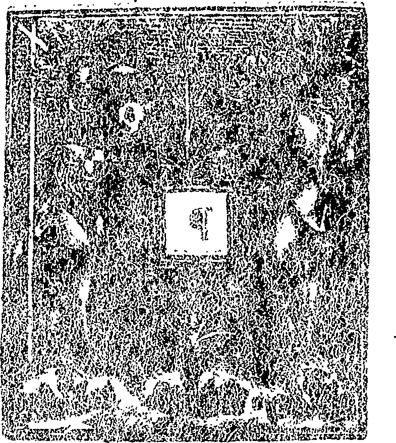 064/064050160000010_0.png