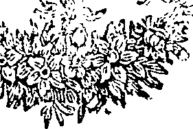 064/064050180001430_0.png