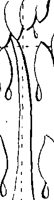 064/064260030000420_0.png