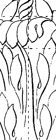 064/064260030000460_1.png